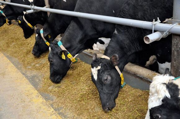 image-by-item-and-alias